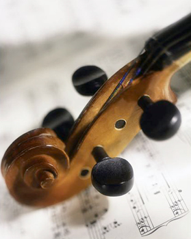 Violino Violino