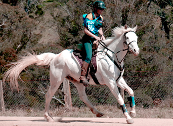 Enduro Equestre Enduro Equestre