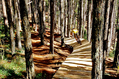 Zoom Bike Park Zoom Bike Park