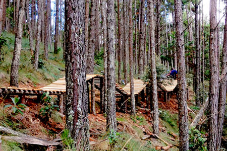Zoom Bike Park Zoom Bike Park