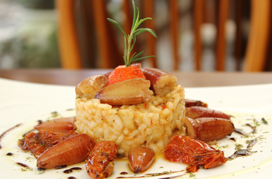 Temporada Gastronômica do Pinhão