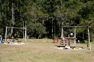 Horto Florestal