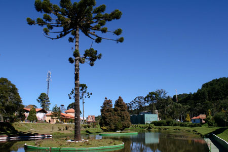 Frio em Campos do Jordão Frio em Campos do Jordão