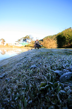 Detalhe geada em Campos do Jordão no dia 8 de junho de 2010